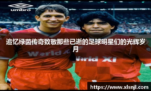 追忆绿茵传奇致敬那些已逝的足球明星们的光辉岁月